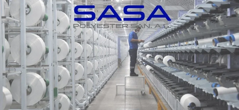 sasa.webp